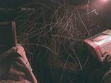 The havoc caused by the Russian Vine