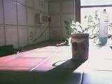 Cuppa
